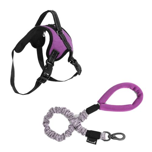 Combo Pet - Guia Antishock Roxa 2,5 x 105cm e Peitoral Air Pull Roxo Tam. M Mimo - PP325K