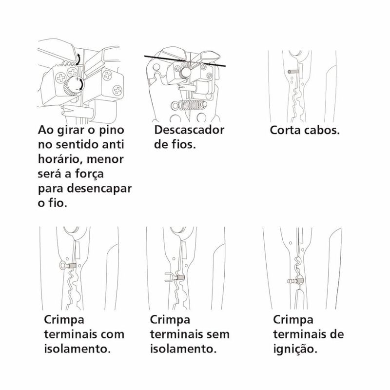image-0a7289c8a975474a94e57c3ca0f4650e